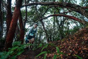 BIB: 
                            <button type="button" onclick="openModal(26345332)" class="btn btn-primary btn-sm float-right btn-popup" data-toggle="modal" data-target=".modal-high-quality">
                        <i class="fas fa-shopping-cart"></i> Add to Cart
                    </button>
                                            <button type="button" onclick="isThisMe(26345332, true)" class="btn btn-success btn-sm float-right btn-popup btn-isme hidden" data-toggle="tooltip" data-placement="bottom" title="นี่คือรูปของคุณใช่ไหม คลิกที่นี่เพื่อเอาเข้าอัลบั้ม">
                        <i class="fas fa-plus"></i> Add to album
                    </button>
                    <button type="button" onclick="isThisMe(26345332, false)" class="btn btn-warning btn-sm float-right btn-popup btn-isnotme hidden">
                        <i class="fas fa-ban"></i> Remove from album
                    </button>